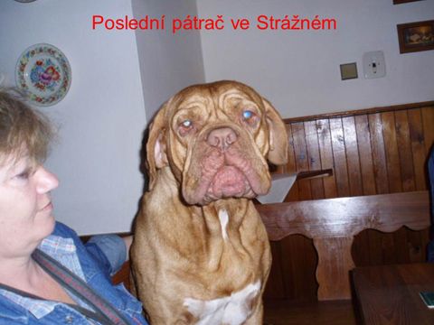 Foto 22